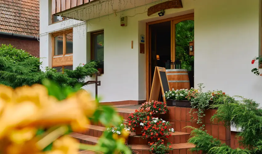 ko-Park Panzi Szarvask - Nyugdjas kedvezmnyes rak reggelis elltssal (1 jtl)