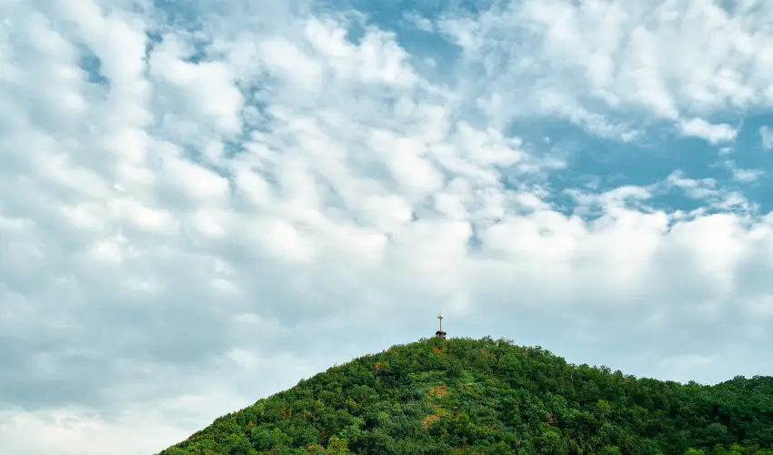 ko-Park Panzi Szarvask - Nyugdjas kedvezmnyes rak reggelis elltssal (1 jtl)