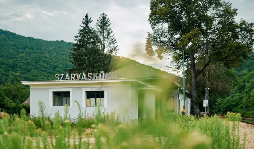 ko-Park Panzi Szarvask - Nyugdjas kedvezmnyes rak reggelis elltssal (1 jtl)