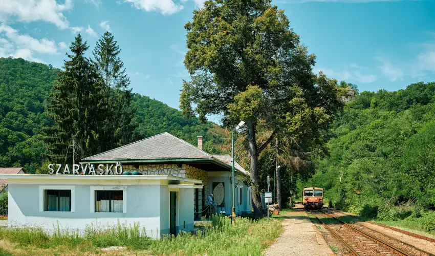 ko-Park Panzi Szarvask - Nyugdjas kedvezmnyes rak reggelis elltssal (1 jtl)