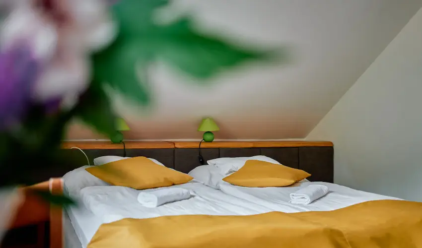 ko-Park Panzi Szarvask - Nyugdjas kedvezmnyes rak reggelis elltssal (1 jtl)