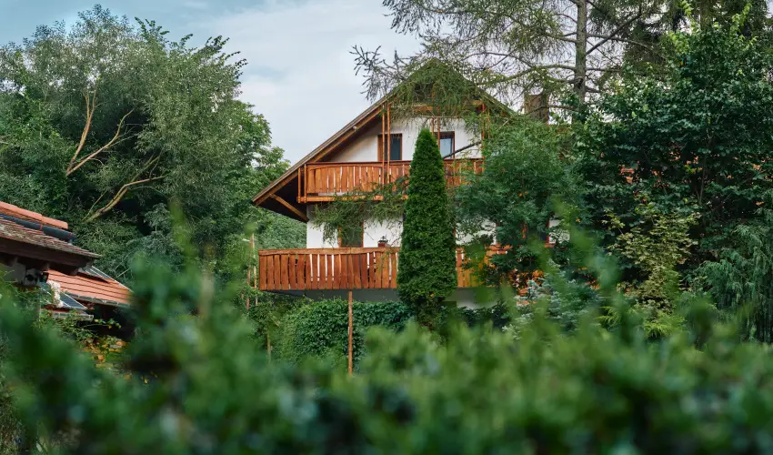 ko-Park Panzi Szarvask - Nyugdjas kedvezmnyes rak reggelis elltssal (1 jtl)