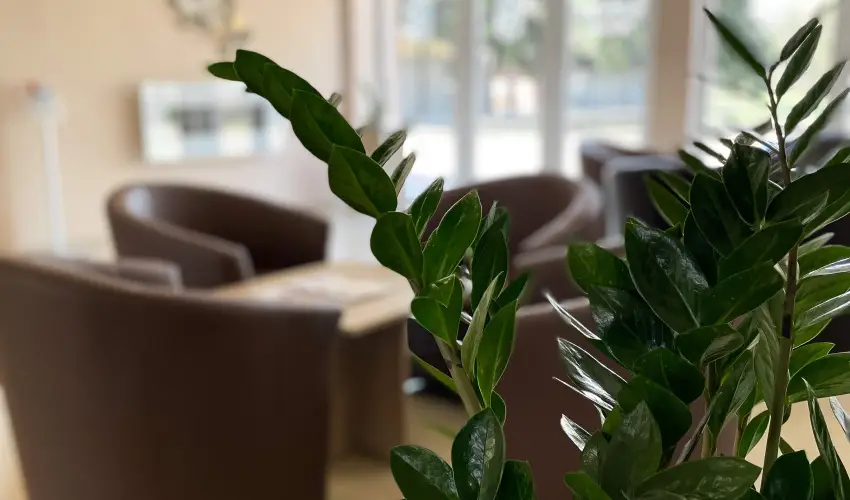 reg-t Hotel Tata - Nyugdjas kedvezmnyes rak reggelis elltssal (1 jtl)