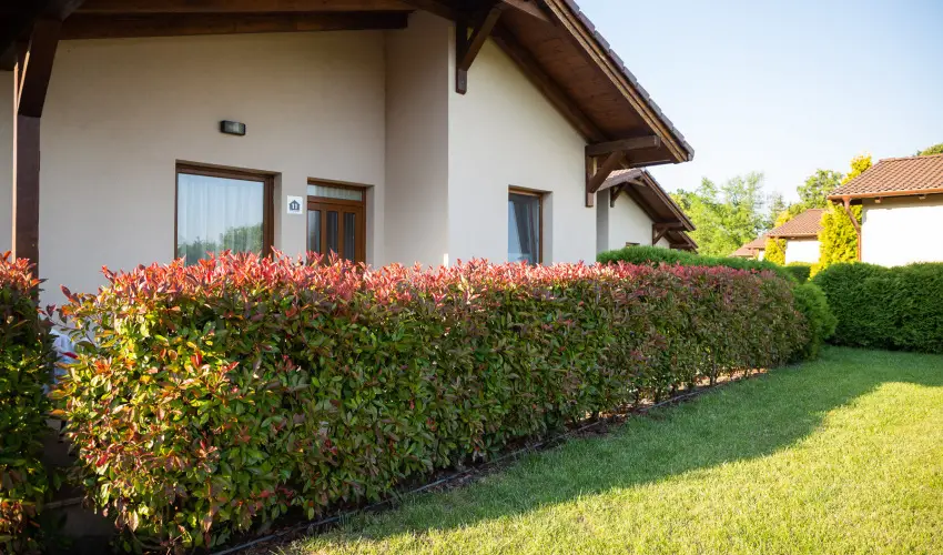 Pandora Zsry Apartmanok Mezkvesd - Nyugdjas kedvezmnyes rak frdbelpvel (1 jtl)