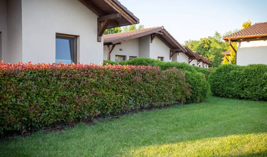 Pandora Zsry Apartmanok Mezkvesd - Nyugdjas kedvezmnyes rak frdbelpvel (1 jtl)