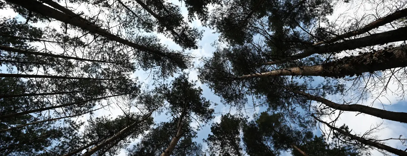 Panorma Hotel Noszvaj Noszvaj - Tli ajnlat 15% kedvezmnnyel (1 jtl)