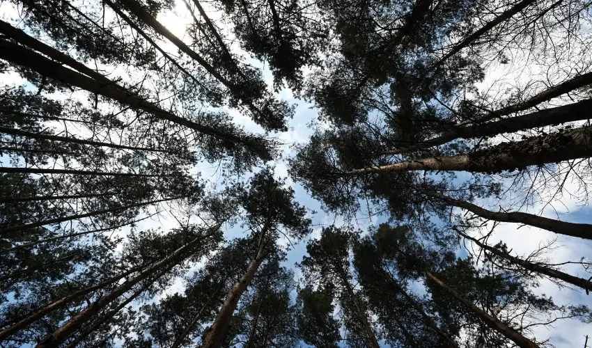 Panorma Hotel Noszvaj Noszvaj - Legjobb r (1 jtl)