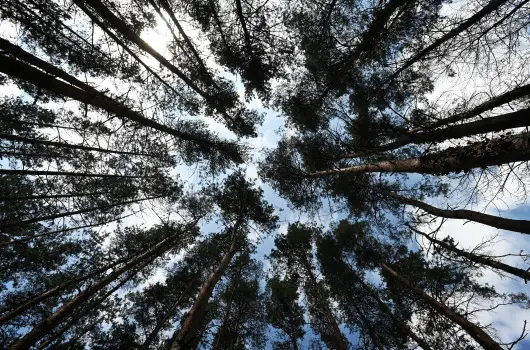 Panorma Hotel Noszvaj - Tli ajnlat 15% kedvezmnnyel (1 jtl)