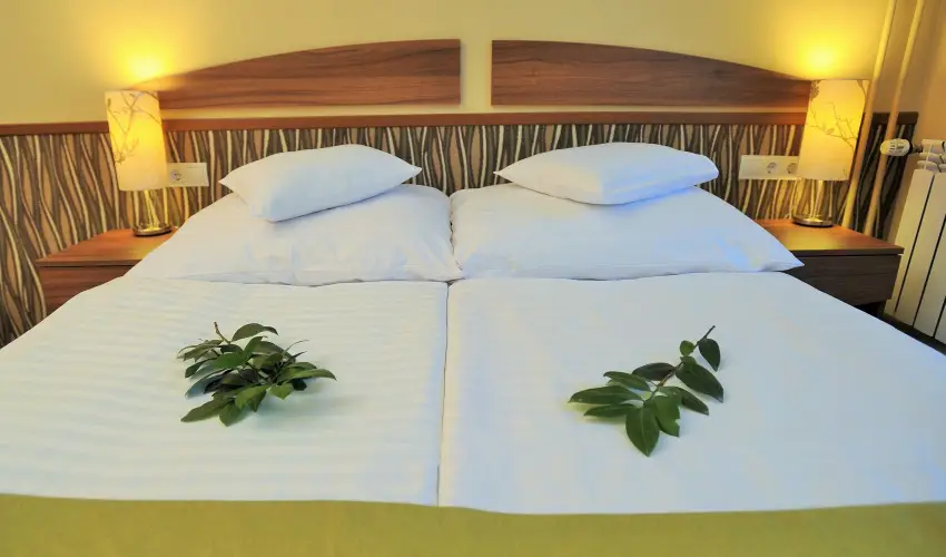Park Hotel Gyula Gyula - H�tv�gi �lom (min. 2 �j)