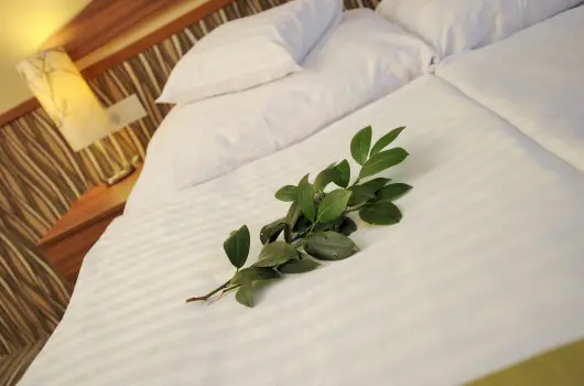 Park Hotel Gyula - H�tv�gi �lom (min. 2 �j)