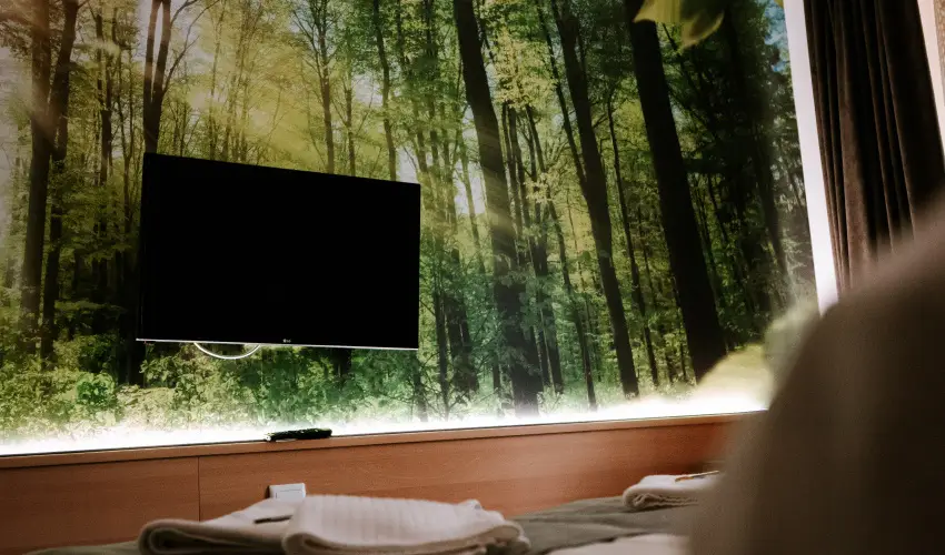 Park Hotel Sst Nyregyhza - Nyugdjas kedvezmnyes rak- teljes elrefizetssel (1 jtl)