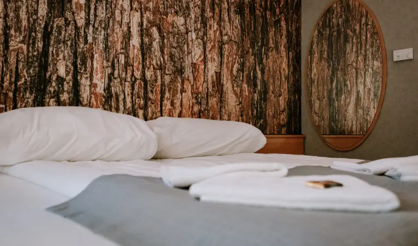 Park Hotel Sst Nyregyhza - Nyugdjas kedvezmnyes rak- teljes elrefizetssel (1 jtl)