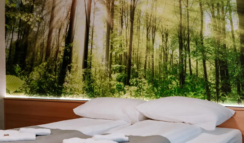 Park Hotel Sst Nyregyhza - Nyugdjas kedvezmnyes rak- teljes elrefizetssel (1 jtl)