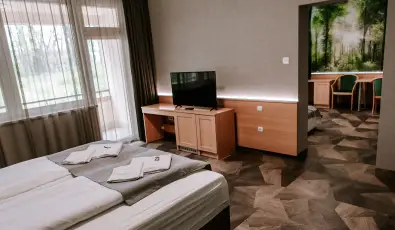 Park Hotel Sst Nyregyhza