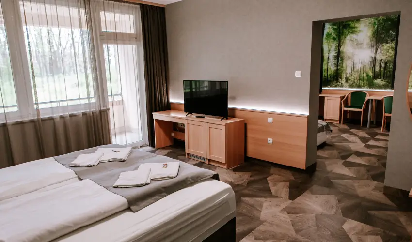 Park Hotel Sst Nyregyhza - Nyugdjas kedvezmnyes rak- teljes elrefizetssel (1 jtl)