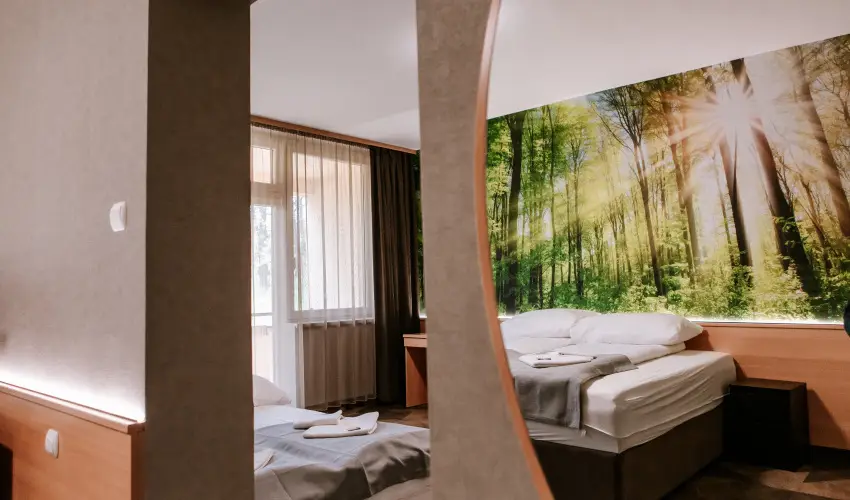 Park Hotel Sst Nyregyhza - Nyugdjas kedvezmnyes rak- teljes elrefizetssel (1 jtl)