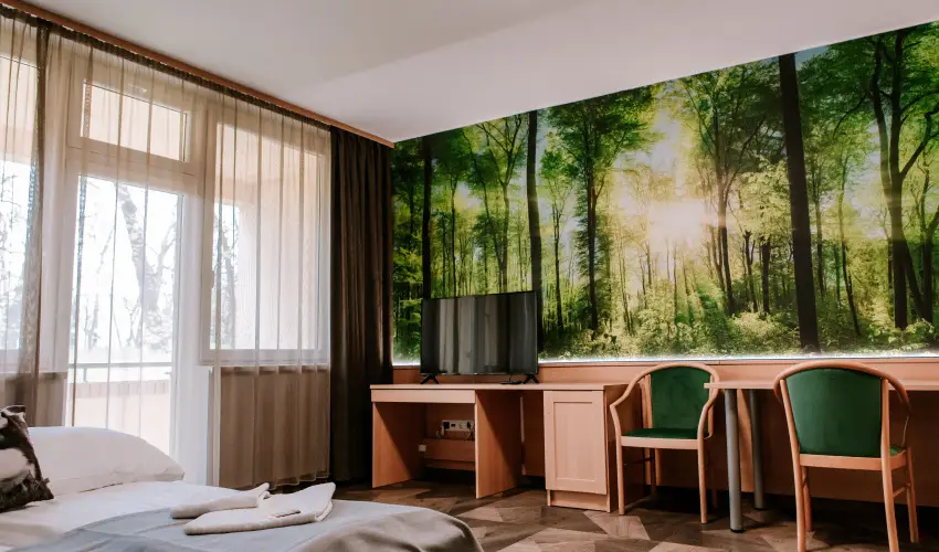 Park Hotel Sst Nyregyhza - Nyugdjas kedvezmnyes rak- teljes elrefizetssel (1 jtl)