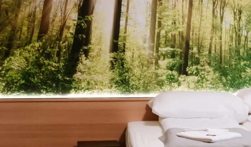 Park Hotel Sst Nyregyhza - Nyugdjas kedvezmnyes rak- teljes elrefizetssel (1 jtl)