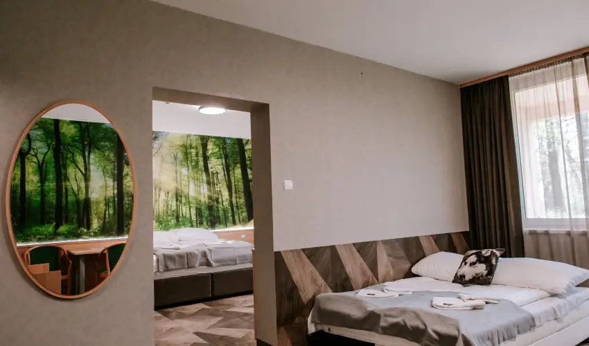 Park Hotel Sst Nyregyhza - Nyugdjas kedvezmnyes rak- teljes elrefizetssel (1 jtl)