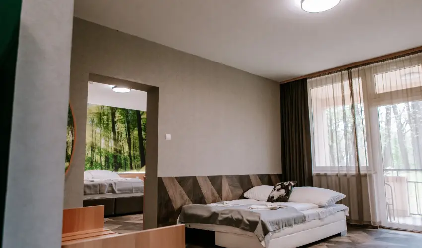 Park Hotel Sst Nyregyhza - Nyugdjas kedvezmnyes rak- teljes elrefizetssel (1 jtl)