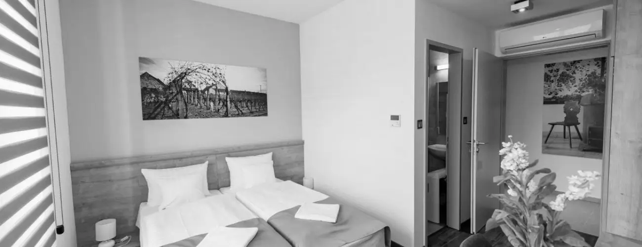 Pilvax Hotel Kalocsa - Kalocsai felfrissls (min. 2 j)