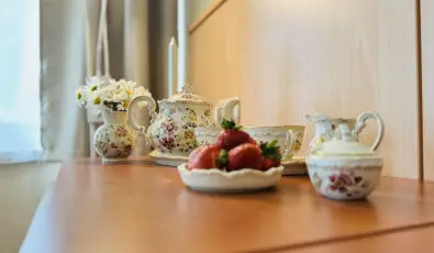 Plza Hotel Gyula Gyula