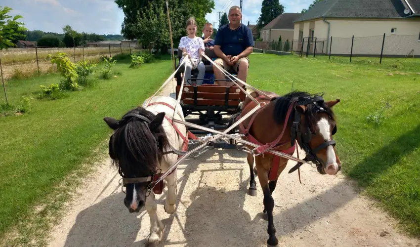 Pni Kuck Vendghz s Minifarm  Hosszvlgy - Nyugdjas kedvezmnyes rak (1 jtl)