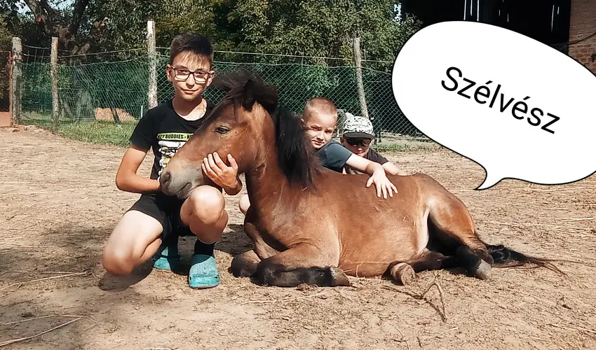 Pni Kuck Vendghz s Minifarm  Hosszvlgy - Nyugdjas kedvezmnyes rak (1 jtl)