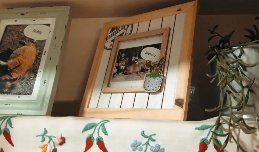 Pni Kuck Vendghz s Minifarm  Hosszvlgy - Nyugdjas kedvezmnyes rak (1 jtl)