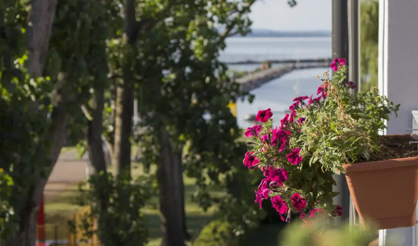 Port tterem & Panzi Balatonmriafrd - Reggelis ajnlat (1 jtl)