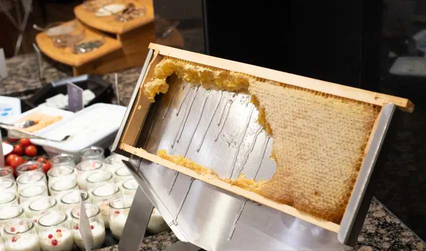 Lotus Therme Hotel & Spa Hvz - Nyugdjas kedvezmnyes rak flpanzival (1 jtl)