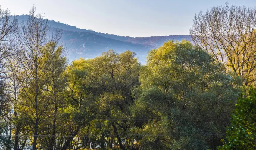 Royal Club Hotel Visegrád - Kedvezményes ár teljes előrefizetéssel (min. 4 éj)
