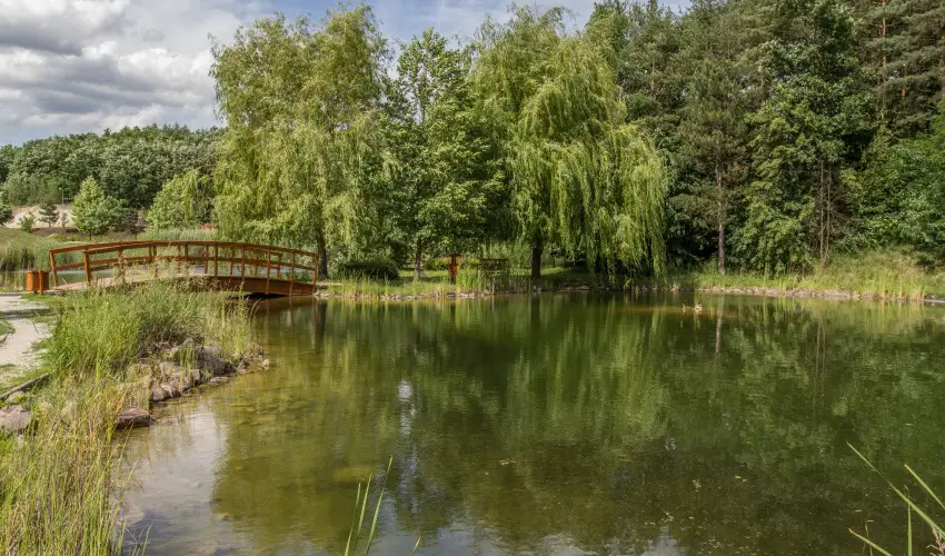 Hunguest Saliris Egerszalók - Főszezoni EARLY BIRD akció (min. 3 éj)
