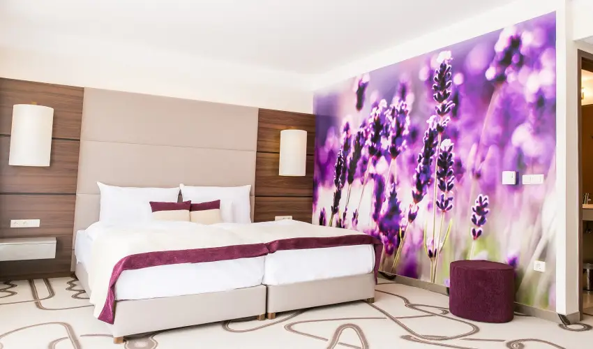 Ambient Hotel & ThermalSPA**** Sikonda - Kedvezmnyes r flpanzival (min. 2 j)