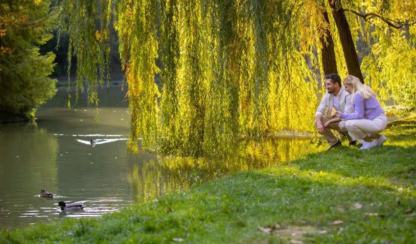 Ambient Hotel & ThermalSPA**** Sikonda - Kedvezmnyes r flpanzival (min. 2 j)