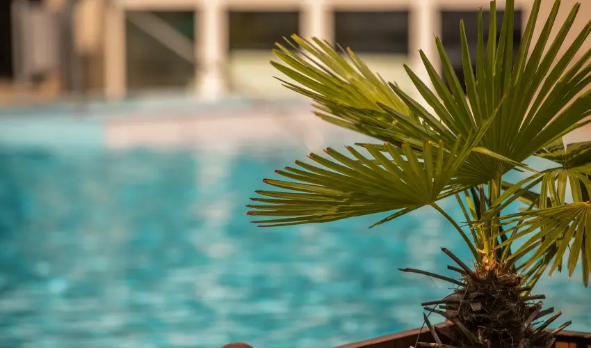 Ambient Hotel & ThermalSPA**** Sikonda - Kedvezmnyes r flpanzival (min. 2 j)