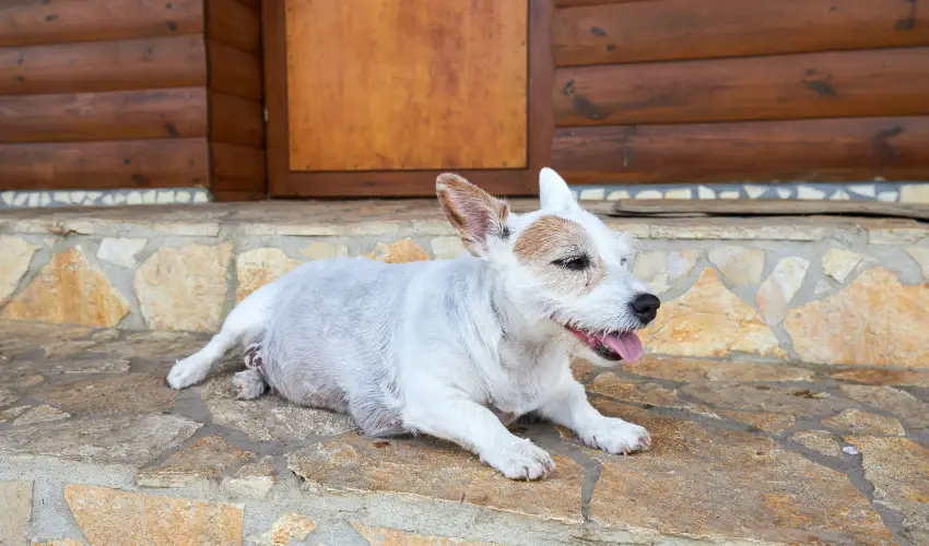 Silver Major Kaba - Nyugd�jas kedvezm�nyes �rak (1 �jt�l)