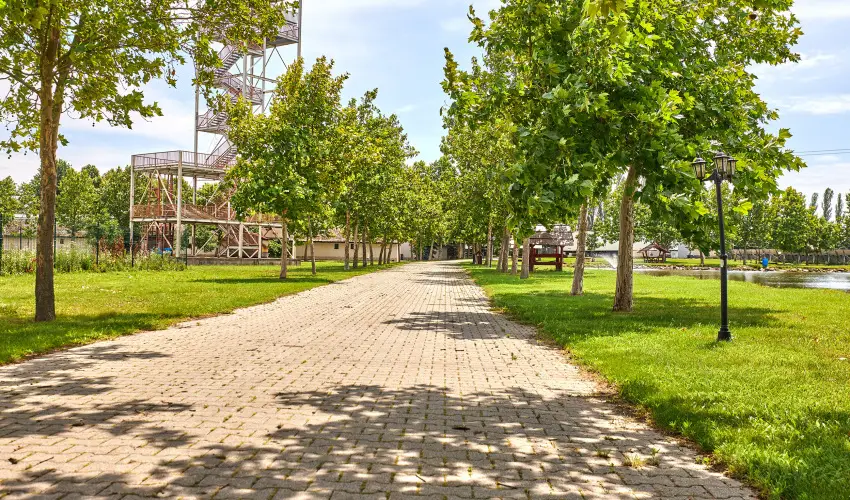 Silver Major Kaba - Nyugd�jas kedvezm�nyes �rak (1 �jt�l)