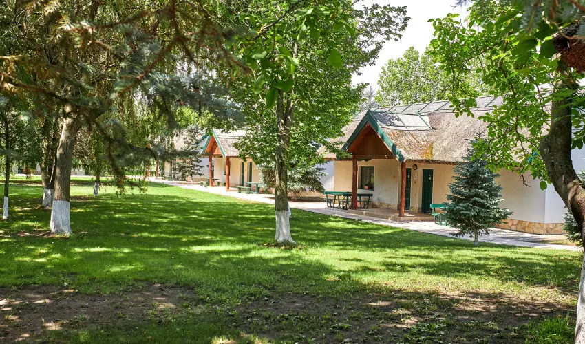 Silver Major Kaba - Nyugd�jas kedvezm�nyes �rak (1 �jt�l)