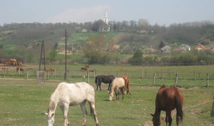 Sokoró Fogadó Sokorópátka - Nyugdíjas kedvezményes árak félpanziós ellátással (1 éjtől)