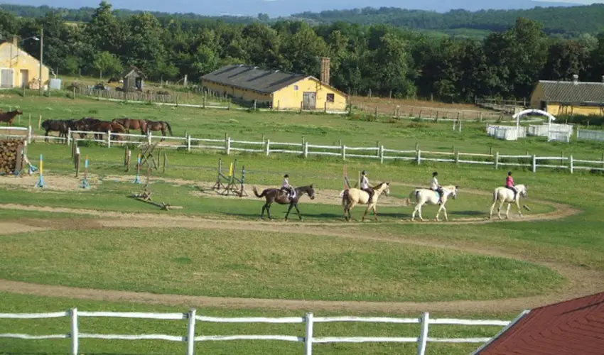 Sokoró Fogadó Sokorópátka - Nyugdíjas kedvezményes árak félpanziós ellátással (1 éjtől)