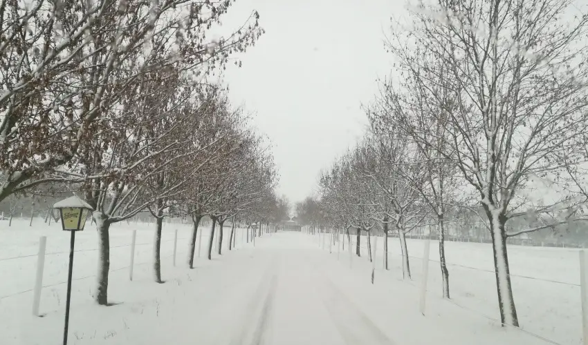 Sokoró Fogadó Sokorópátka - Nyugdíjas kedvezményes árak félpanziós ellátással (1 éjtől)