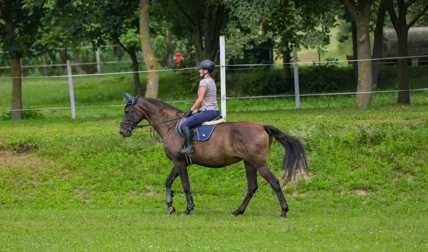 Sokoró Fogadó Sokorópátka - Nyugdíjas kedvezményes árak félpanziós ellátással (1 éjtől)