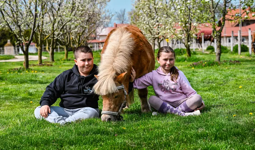 Sokor� Fogad� Sokor�p�tka - Kemenc�s h�tv�ge (min. 2 �j)