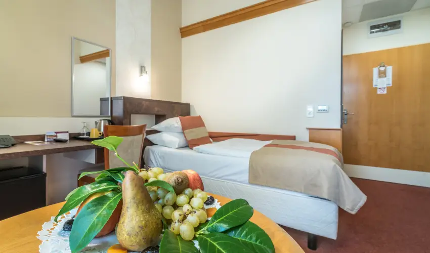 Hotel Spa H�v�z H�v�z - T�f�rd� csomag f�lpanzi�val (min. 2 �j)