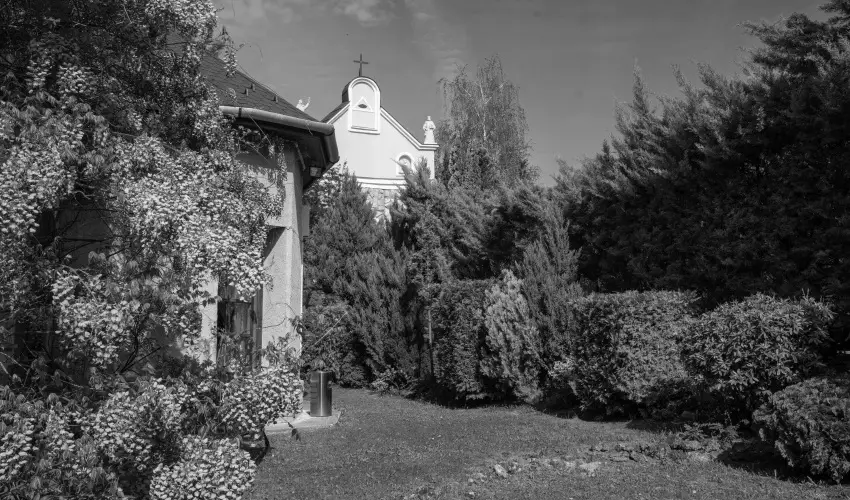 Szent Istv�n Hotel Eger - �vind�t� Sz�ll�svad�szat Egerben (min. 2 �j)