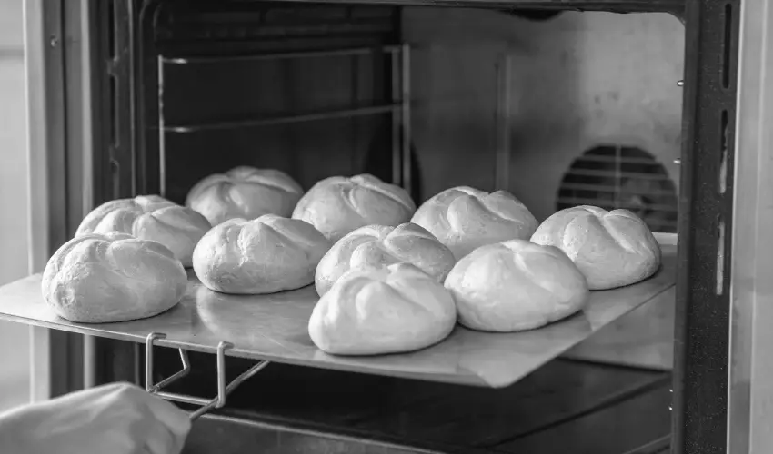 Szent Istv�n Hotel Eger - �vind�t� Sz�ll�svad�szat Egerben (min. 2 �j)