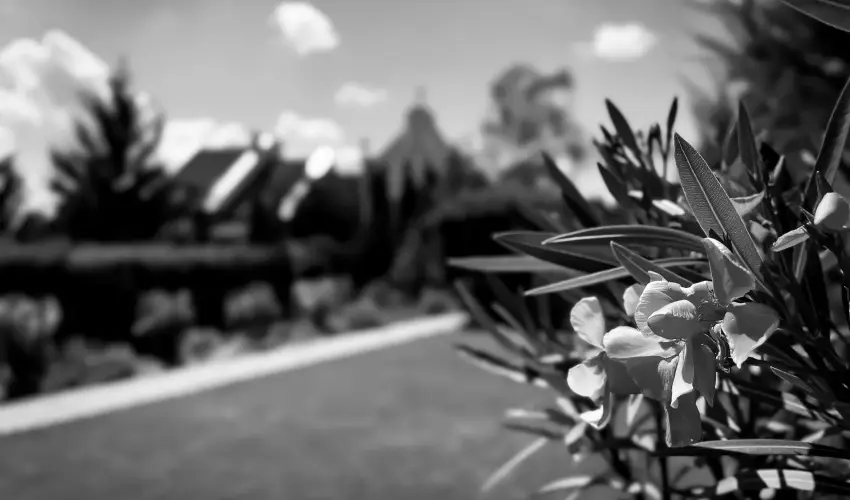 Szent Istv�n Hotel Eger - �vind�t� Sz�ll�svad�szat Egerben (min. 2 �j)