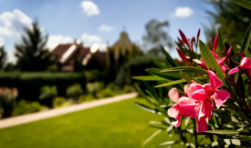 Szent István Hotel Eger - Nyugdíjas kedvezményes árak reggelis ellátással (1 éjtől)