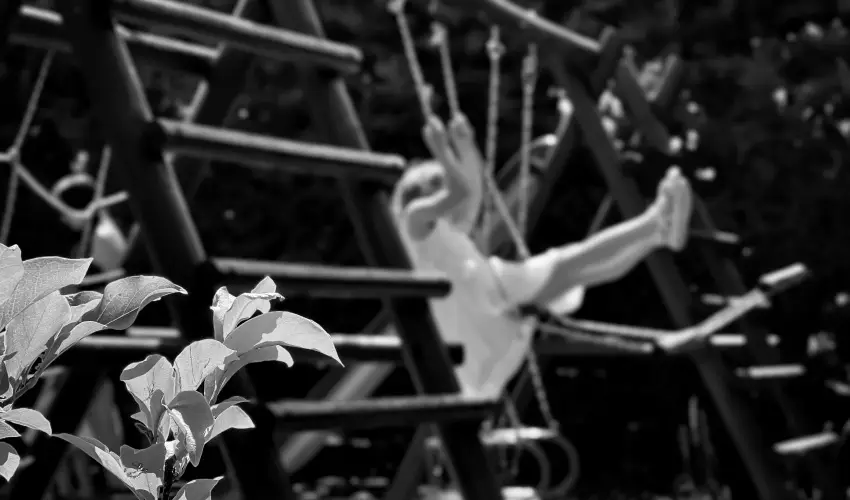 Szent Istv�n Hotel Eger - �vind�t� Sz�ll�svad�szat Egerben (min. 2 �j)